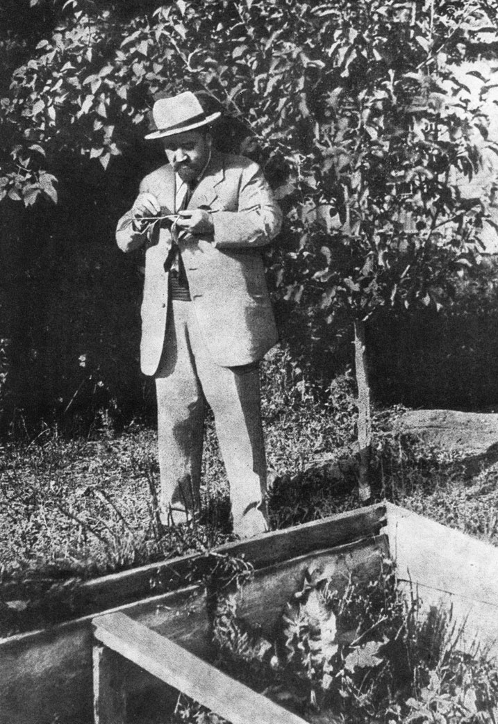А. И. Куприн в своём саду. Гатчина